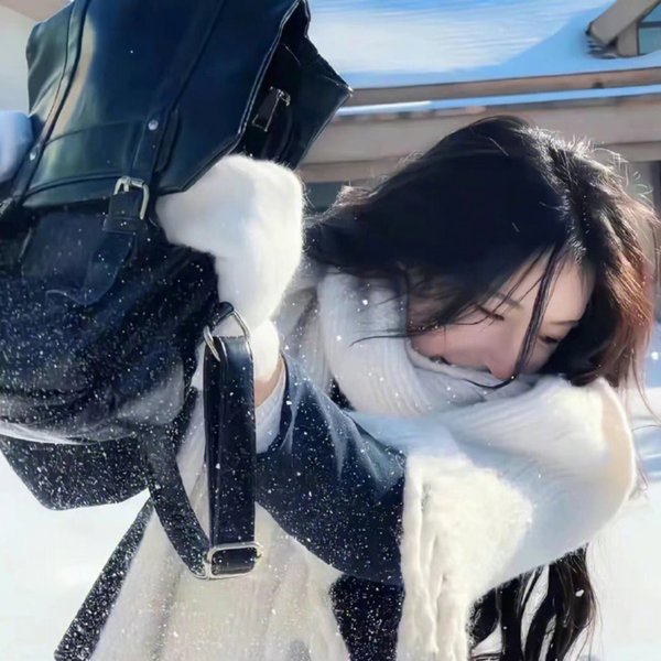 双狼